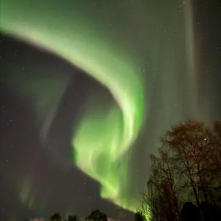 Cityhome Kaarto Rovaniemi